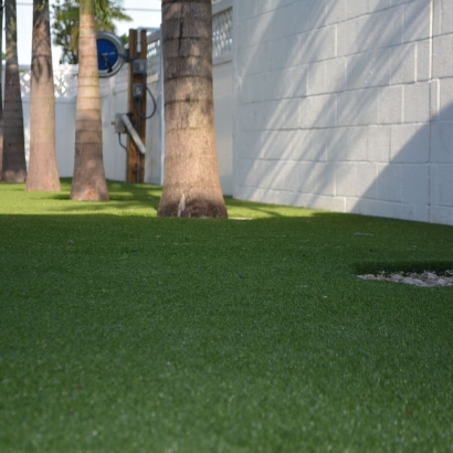 Grass Turf Ursine, Nevada Lawn And Landscape, Commercial Landscape