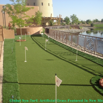 Putting Greens Paradise Nevada Fake Turf