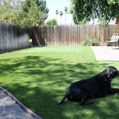 Synthetic Animal Shelter Cal-Nev-Ari Nevada Installation