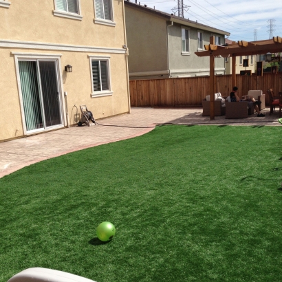 Synthetic Grass Beatty, Nevada Paver Patio, Backyard Landscape Ideas