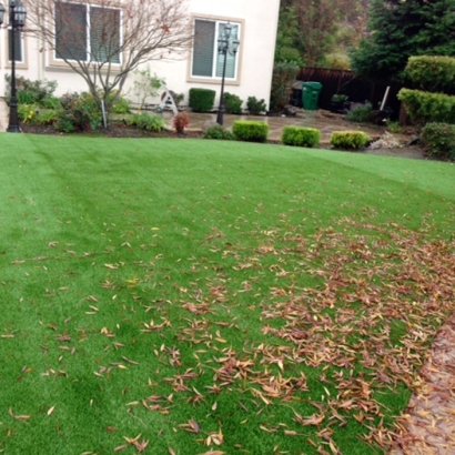 Synthetic Grass Blue Diamond Nevada Landscape
