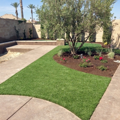 Synthetic Grass Boulder City Nevada Landscape