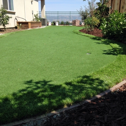 Synthetic Grass Boulder City Nevada Landscape