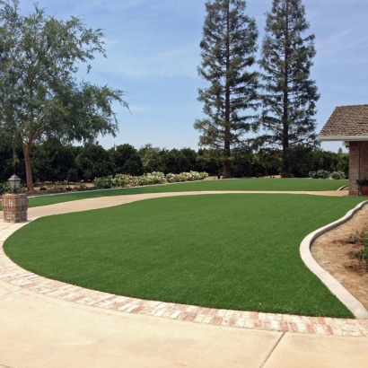 Synthetic Grass Enterprise Nevada Landscape