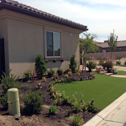 Synthetic Grass Enterprise Nevada Lawn