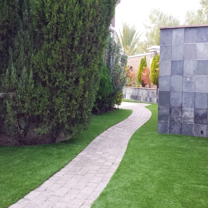 Synthetic Grass Goodsprings Nevada Landscape