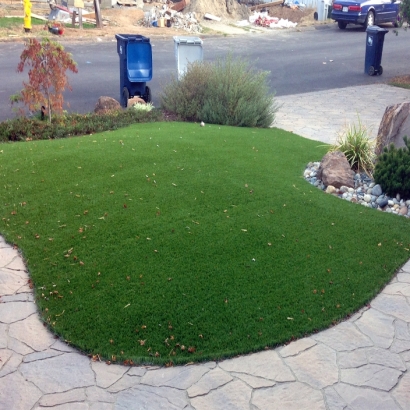 Synthetic Grass Indian Springs Nevada Landscape