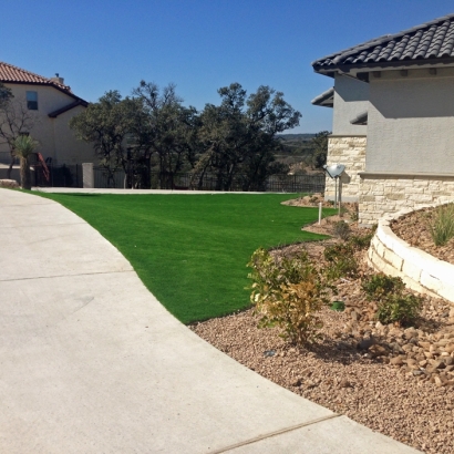 Synthetic Grass Moapa Town Nevada Landscape