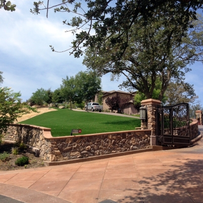 Synthetic Grass Mount Charleston Nevada Lawn