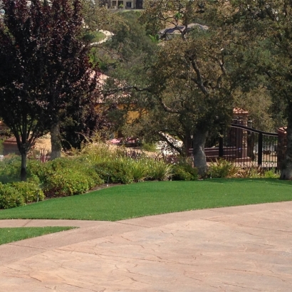 Synthetic Grass Mount Charleston Nevada Lawn