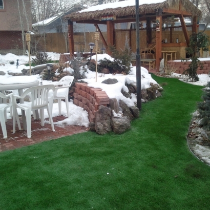 Synthetic Grass Mount Charleston Nevada Landscape