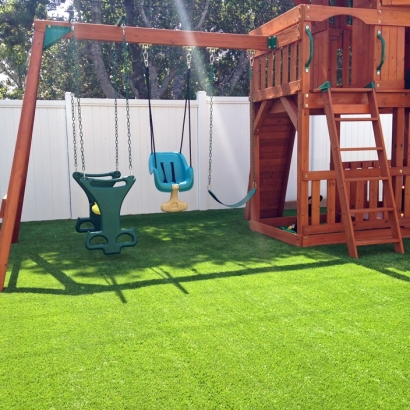 Synthetic Grass Mount Charleston Nevada Kids Care