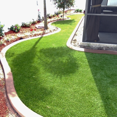 Synthetic Grass Nellis Air Force Base Nevada Landscape