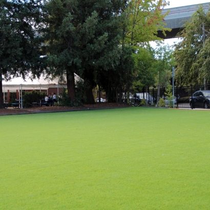 Synthetic Grass Nelson Nevada Landscape