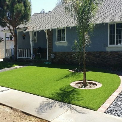 Synthetic Grass North Las Vegas Nevada Landscape