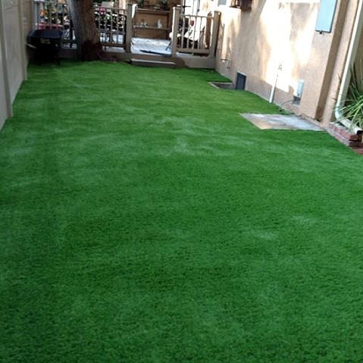 Synthetic Grass Pahrump Nevada Landscape