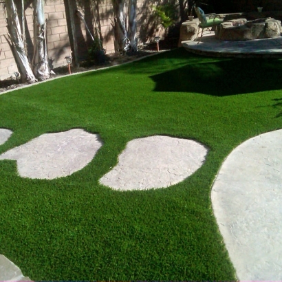 Synthetic Grass Pahrump Nevada Landscape