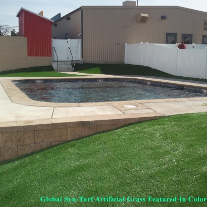 Synthetic Grass Pahrump Nevada Lawn