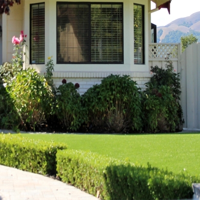 Synthetic Grass Pahrump Nevada Lawn