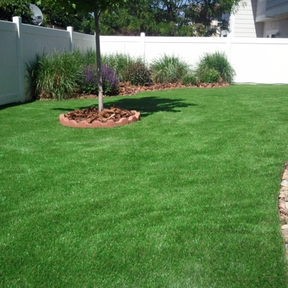 Synthetic Grass Sandy Valley Nevada Lawn