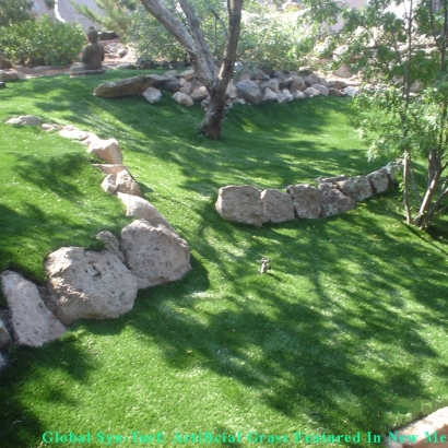 Synthetic Grass Summerlin South Nevada Landscape