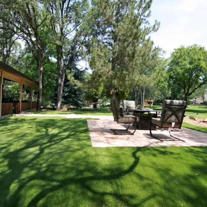 Synthetic Grass Whitney Nevada Lawn