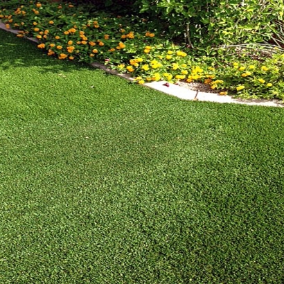 Synthetic Grass Whitney Nevada Lawn