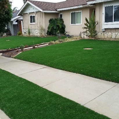 Synthetic Grass Winchester Nevada Lawn