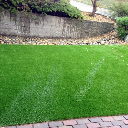 Synthetic Pet Grass Cal-Nev-Ari Nevada for Dogs