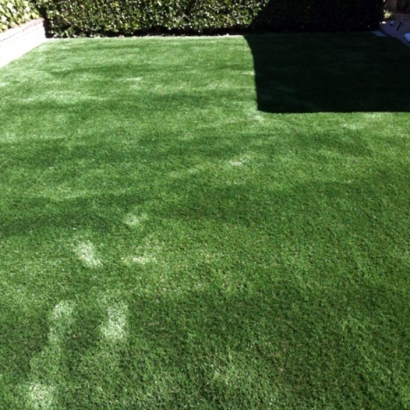 Synthetic Pet Grass Moapa Valley Nevada Installation