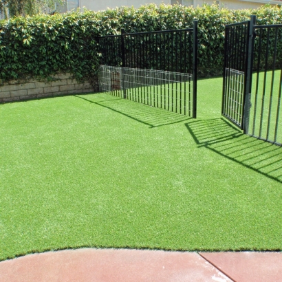 Synthetic Pet Turf Henderson Nevada for Dogs