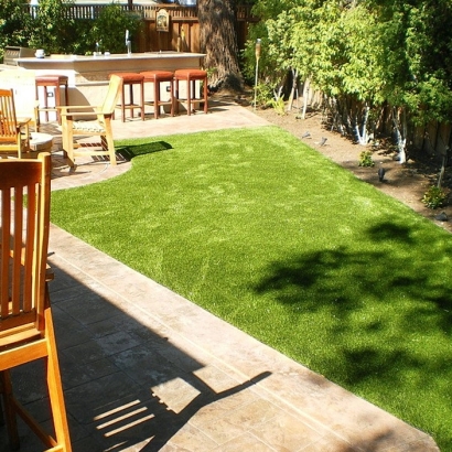 Synthetic Pet Turf North Las Vegas Nevada for Dogs