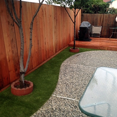 Synthetic Pet Turf Paradise Nevada for Dogs