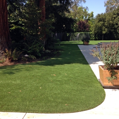 Synthetic Pet Turf Whitney Nevada Installation