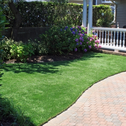 Synthetic Turf Blue Diamond Nevada Landscape