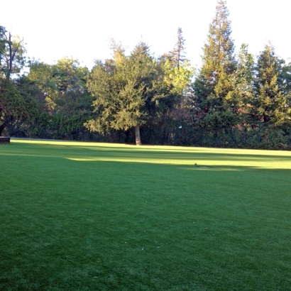 Synthetic Turf Blue Diamond Nevada Landscape