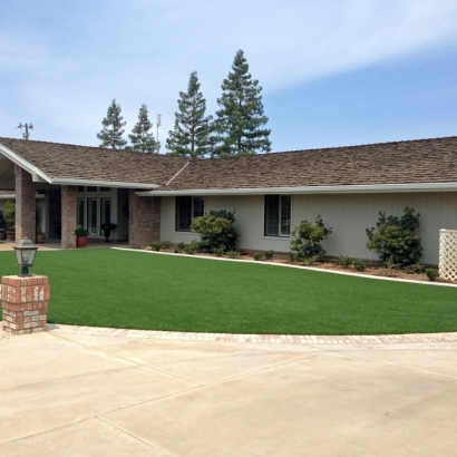 Synthetic Turf Boulder City Nevada Landscape