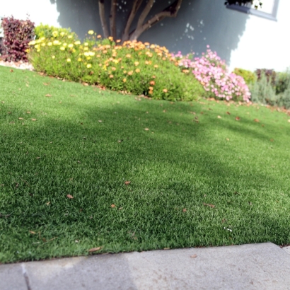 Synthetic Turf Cal-Nev-Ari Nevada Landscape