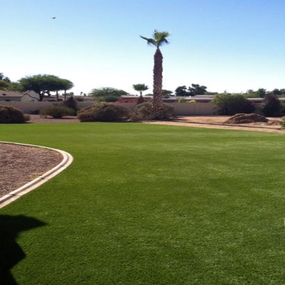 Synthetic Turf Enterprise Nevada Landscape