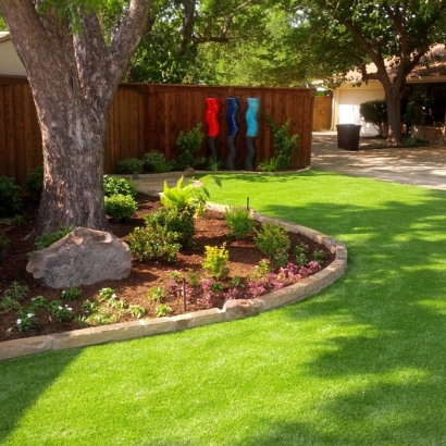 Synthetic Turf Enterprise Nevada Lawn