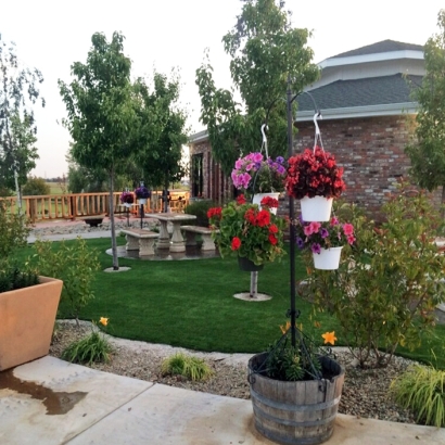 Synthetic Turf Henderson Nevada Landscape