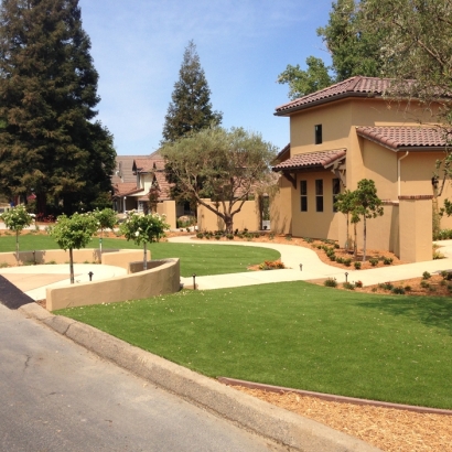 Synthetic Turf Moapa Town Nevada Lawn