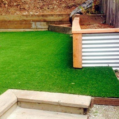 Synthetic Turf Moapa Town Nevada Lawn