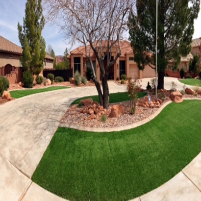 Synthetic Turf Moapa Town Nevada Landscape