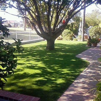 Synthetic Turf Moapa Town Nevada Landscape
