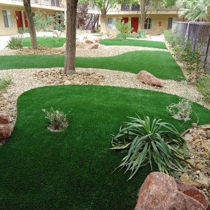 Synthetic Turf Moapa Valley Nevada Lawn
