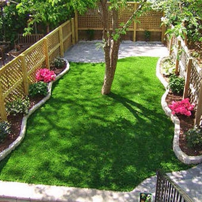 Synthetic Turf Moapa Valley Nevada Landscape