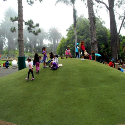 Synthetic Turf Mount Charleston Nevada Playgrounds