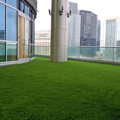Synthetic Turf Mount Charleston Nevada Landscape