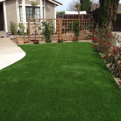Synthetic Turf Nelson Nevada Lawn